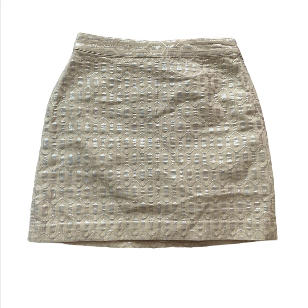 NWT Mini Skirt